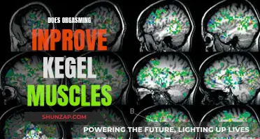 Orgasms: Strengthening Your Kegel Muscles and Improving Your Health
