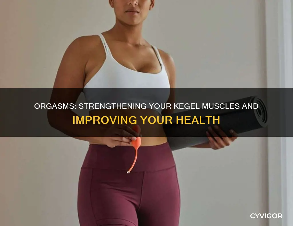does orgasming inprove kegel muscles