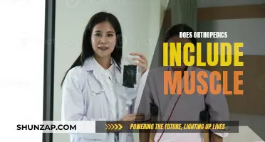 Orthopedics and Muscles: What's the Connection?