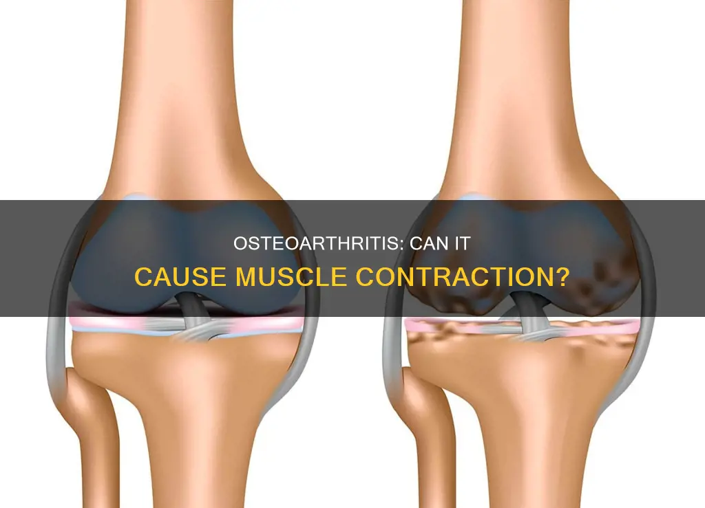 does osteoarthritis cause muscle contraction