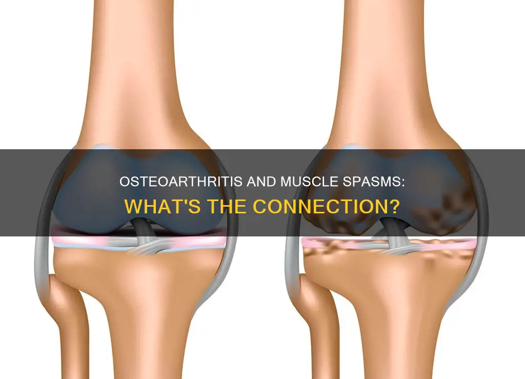 does osteoarthritis cause muscle spasms