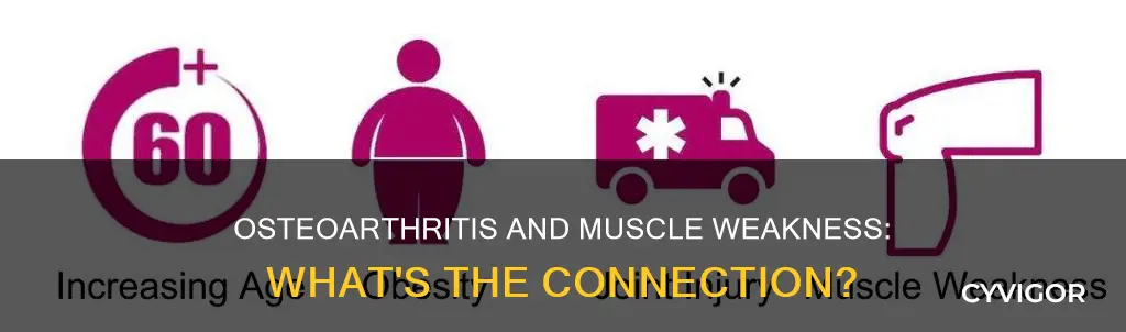 does osteoarthritis cause muscle weakness
