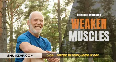 Osteoarthritis: Muscle Weakening and Strengthening Solutions
