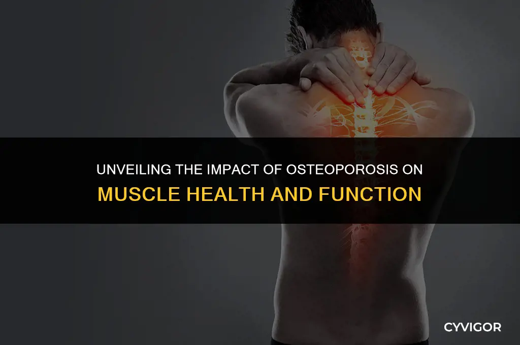 does osteoporosis affect muscles