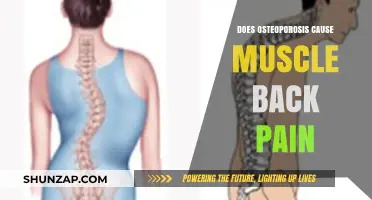 Osteoporosis and Back Pain: Is There a Link?