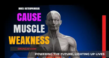 Osteoporosis and Muscle Weakness: What's the Connection?