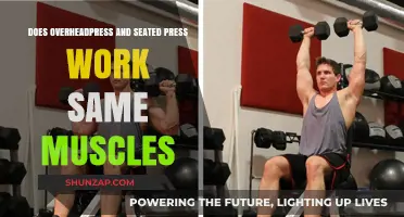 Overhead Press vs. Seated Press: Targeting the Same Muscles?