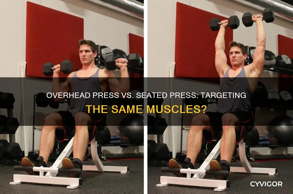 does overheadpress and seated press work same muscles