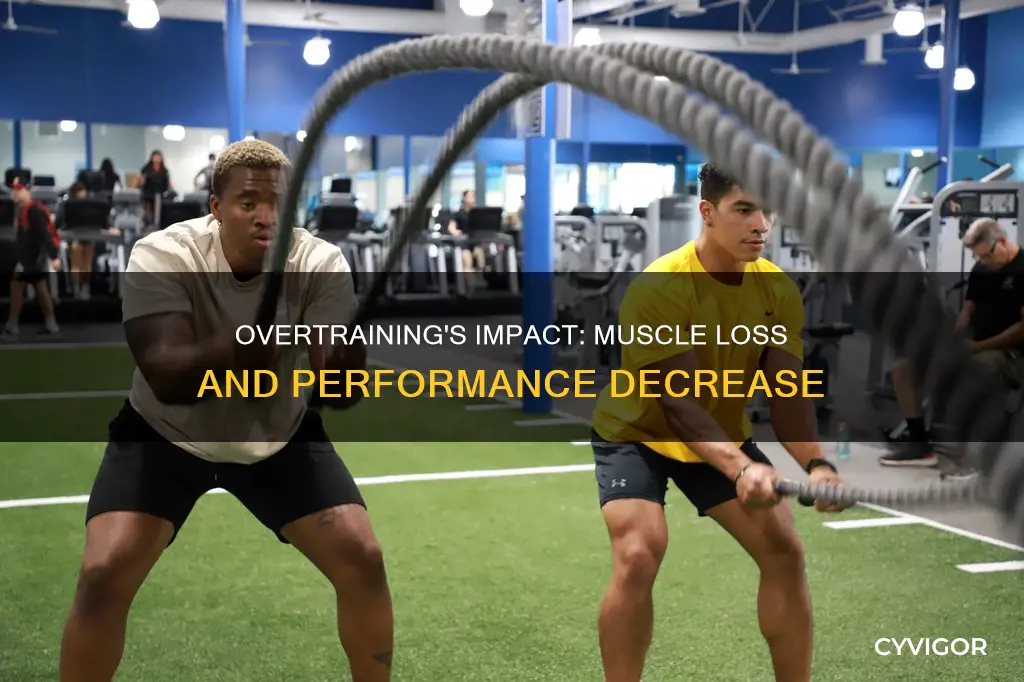 does overtraining reduce muscle