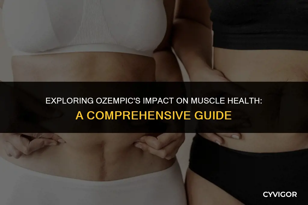 does ozempic affect muscle