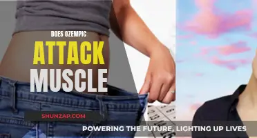 Ozempic's Muscle Impact: Friend or Foe?