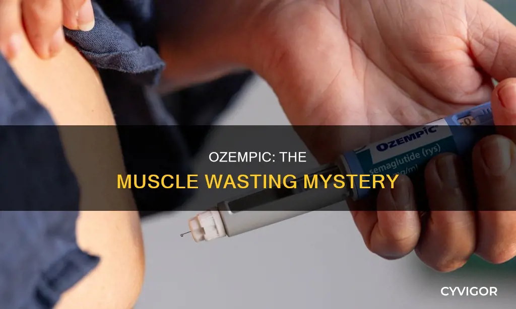 does ozempic cause muscle wasting