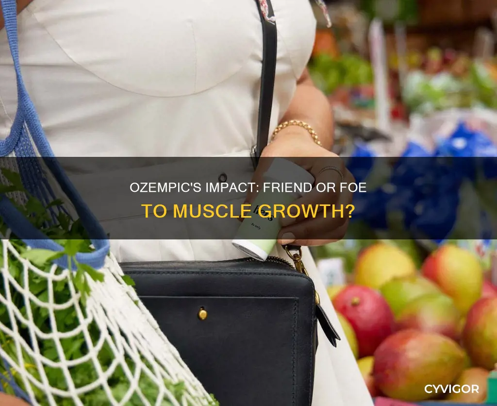 does ozempic destroy muscle
