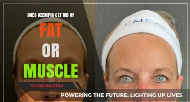 Ozempic: Targeting Fat Loss or Muscle Reduction?