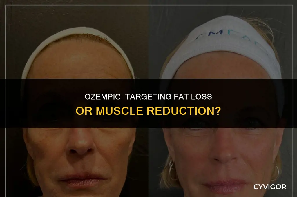 does ozempic get rid of fat or muscle