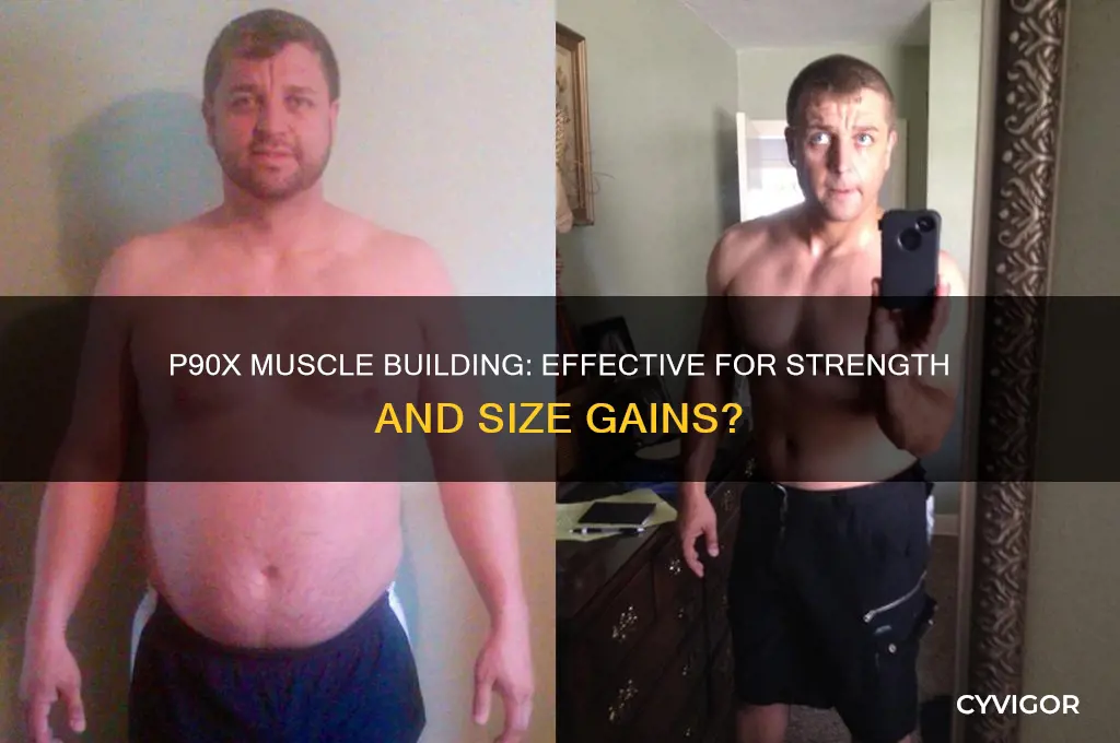 does p90x gain muscle
