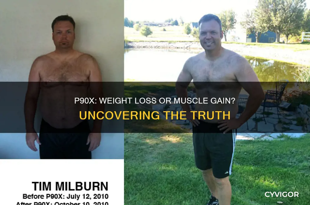 does p90x help you lose weight or just gain muscle
