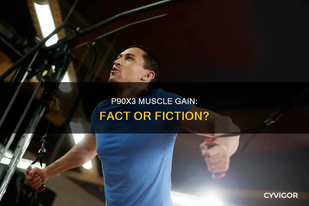does p90x3 add muscle