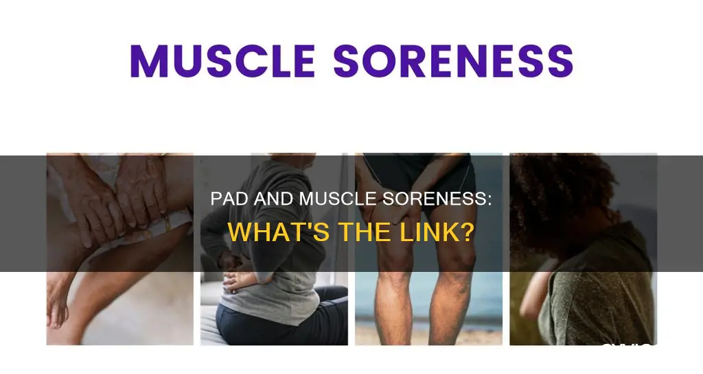 does pad cause muscle sore ess and tenderness