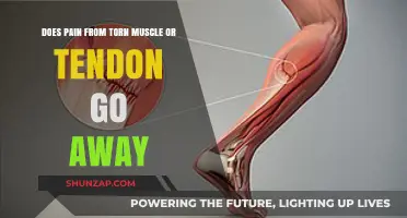 Torn Muscles and Tendons: Will the Pain Eventually Disappear?