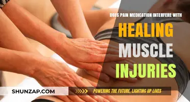 Pain Medication and Muscle Healing: Does Relief Hinder Recovery?