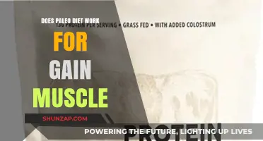 Can the Paleo Diet Effectively Support Muscle Gain? A Comprehensive Review