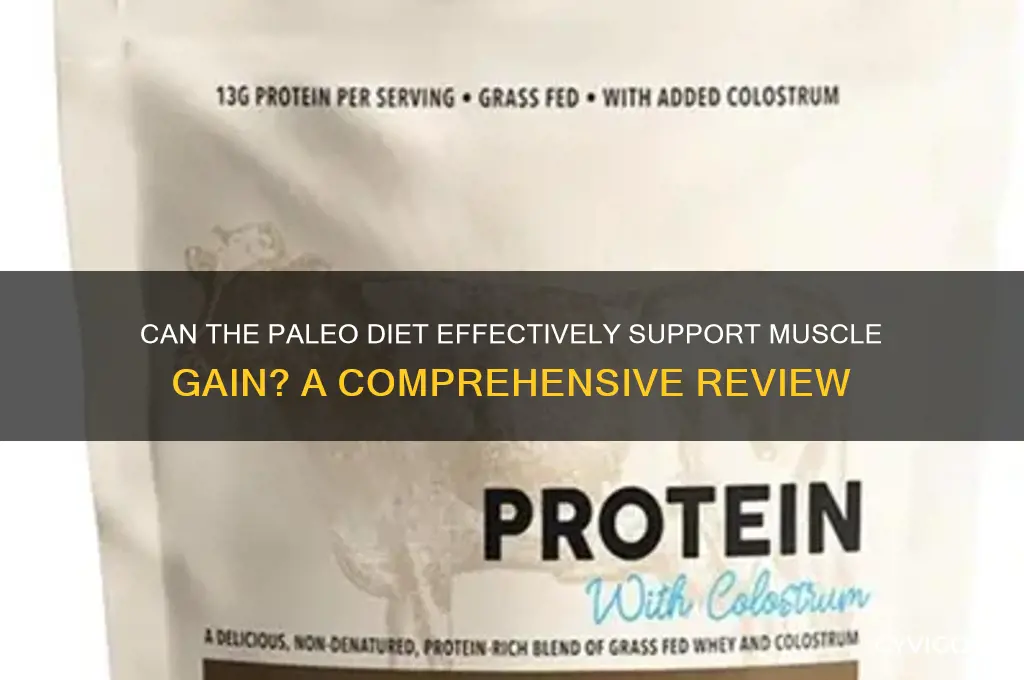 does paleo diet work for gain muscle