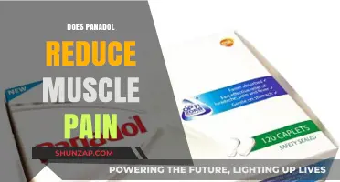Can Panadol Relieve Muscle Pain? Exploring Its Effectiveness and Uses