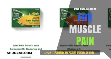 Can Panadol Effectively Relieve Muscle Pain? A Comprehensive Guide