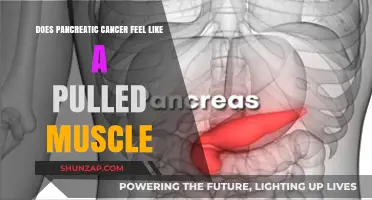 Pancreatic Cancer vs. Pulled Muscle: Recognizing the Difference in Pain