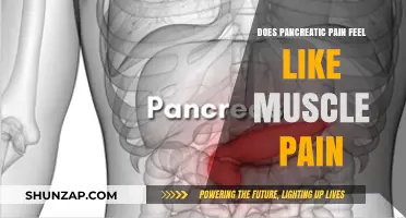Pancreatic Pain vs. Muscle Pain: Understanding the Key Differences