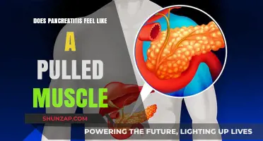 Pancreatitis vs. Pulled Muscle: Understanding the Pain and Symptoms