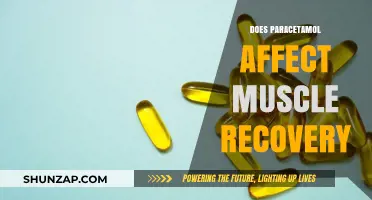 Exploring Paracetamol's Impact on Muscle Recovery: What You Need to Know