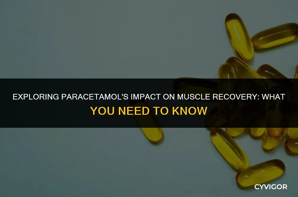 does paracetamol affect muscle recovery