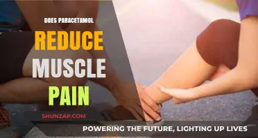 Can Paracetamol Effectively Relieve Muscle Pain? What Research Says
