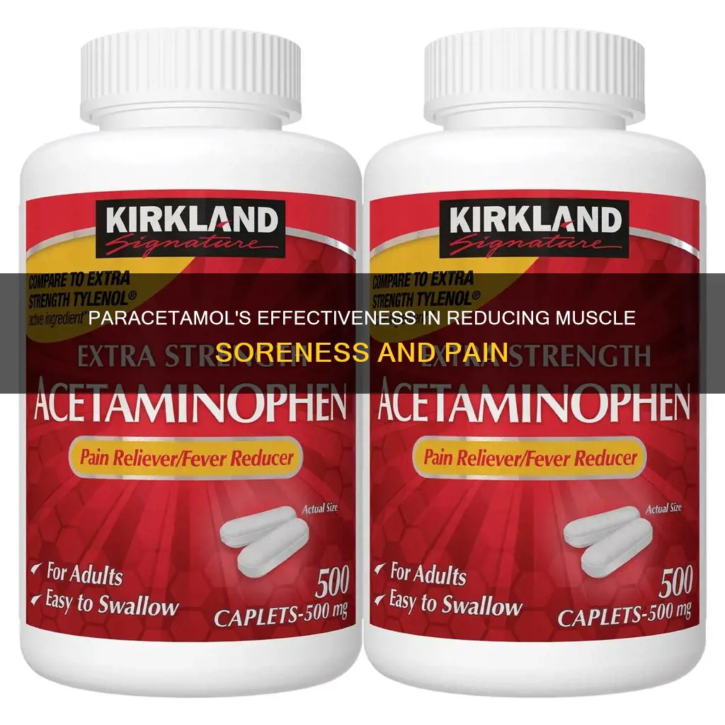 does paracetamol reduce muscle soreness