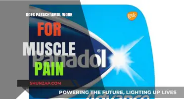 Does Paracetamol Effectively Relieve Muscle Pain? A Comprehensive Analysis