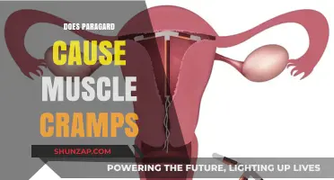 Paragard and Muscle Cramps: What's the Link?