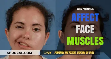 Exploring the Impact of Paralysis on Facial Muscles: A Comprehensive Guide