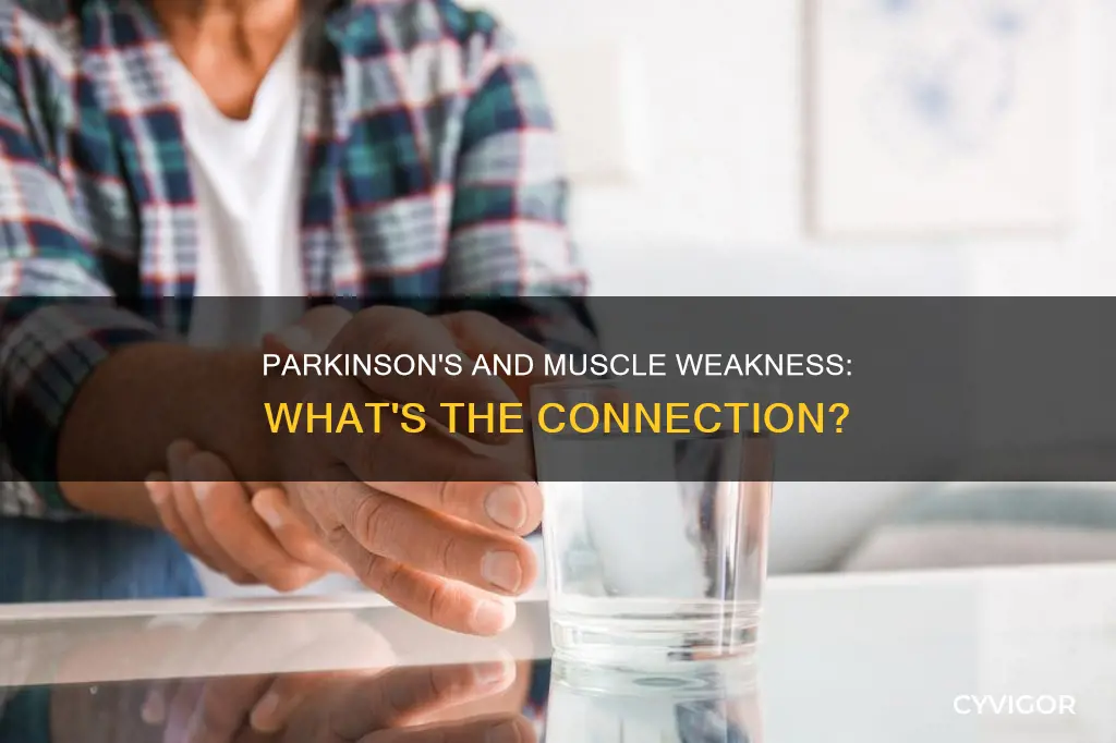 does parkinson cause muscle weakness