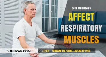 Exploring Parkinson's Impact on Respiratory Muscles: A Comprehensive Guide