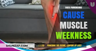 Parkinson's and Muscle Weakness: What's the Link?