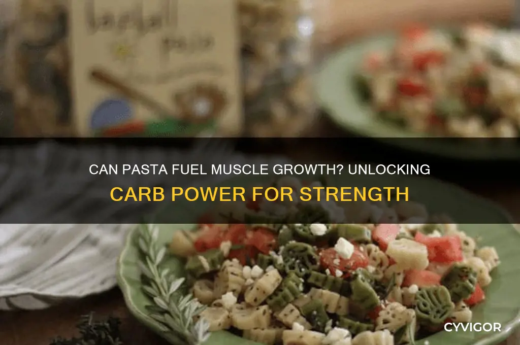 does pasta help gain muscle