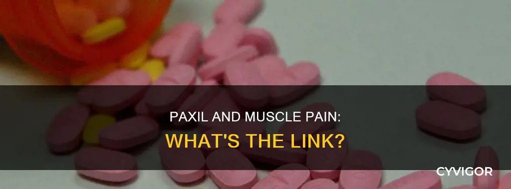 does paxil cause muscle pain