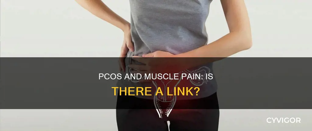 does pcos cause muscle pain