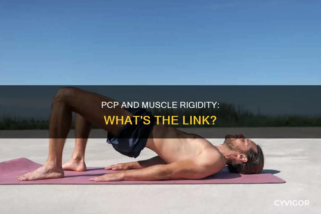 does pcp cause muscle rigidity