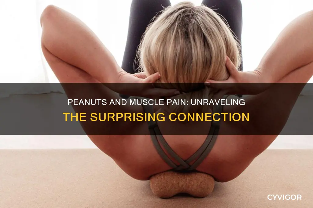 does peanuts gives you muscle pain