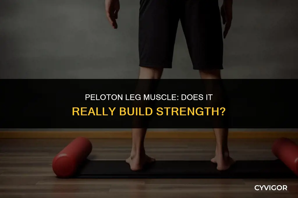 does peloton build leg muscle