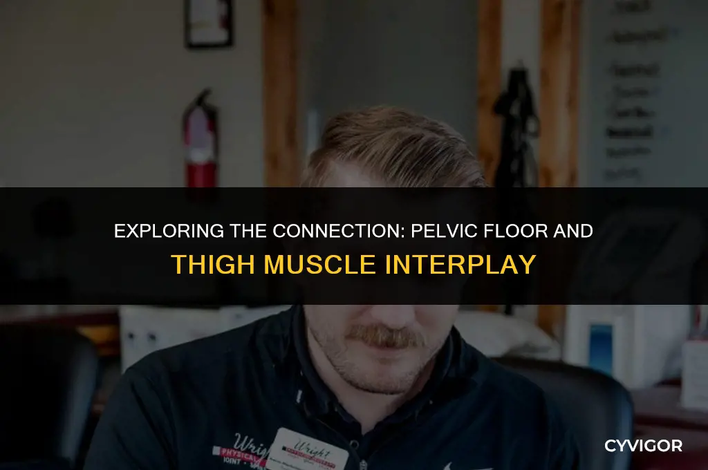 does pelvic floor affect thigh muscles