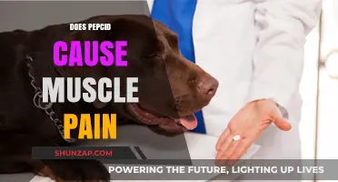 Peptic Ulcer Drugs: Can They Cause Muscle Pain?